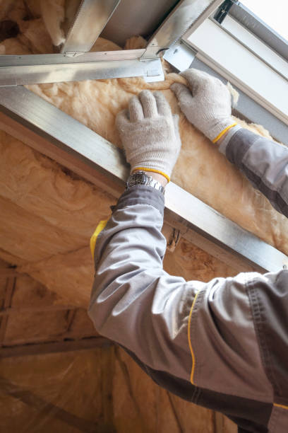 Best Insulation for Specific Applications in South Patrick Shores, FL