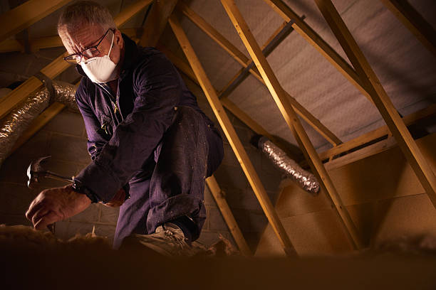 Best Commercial Insulation in South Patrick Shores, FL
